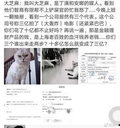 大芝麻爆料铲屎官视频大全,铲屎官视频大全趣味盘点 第2张 大芝麻爆料铲屎官视频大全,铲屎官视频大全趣味盘点 第2张